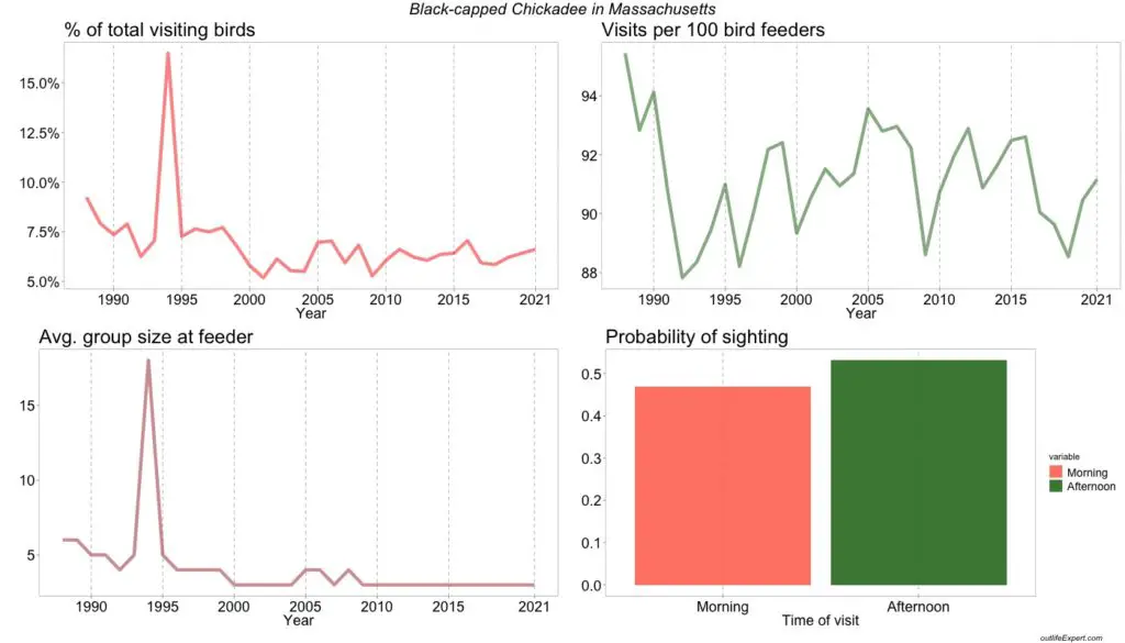 The figure shows the development in the number of Black-capped Chickadees visiting bird feeders in Massachusetts backyards from 1988 to 2020