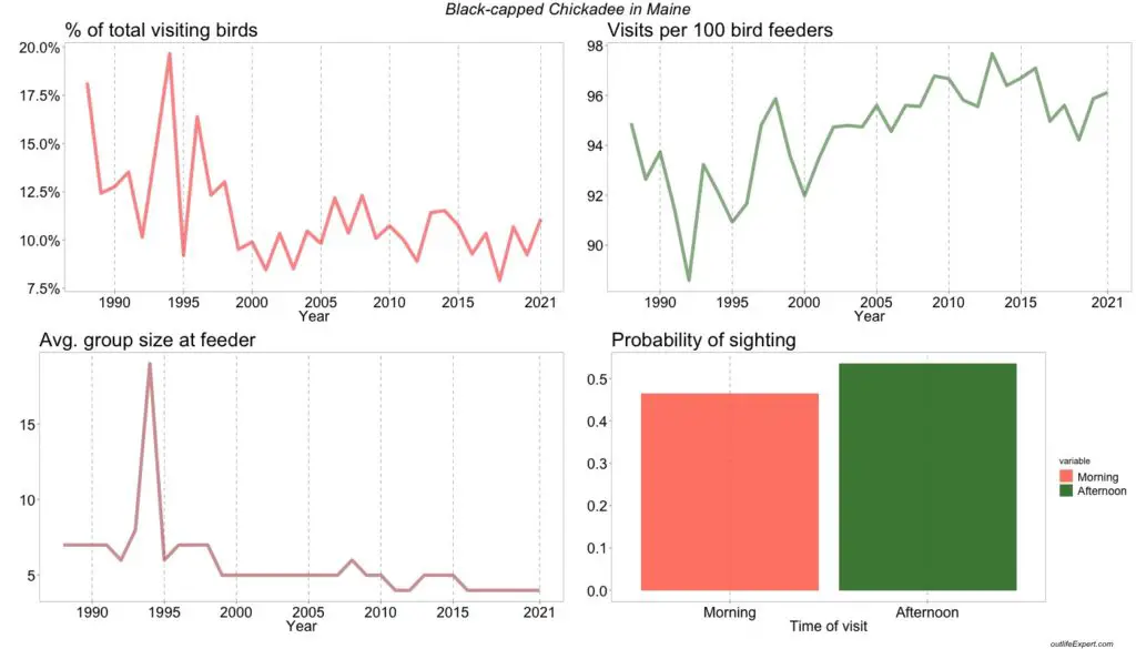 The figure shows the development in the number of Black-capped Chickadees visiting bird feeders in Maine backyards from 1988 to 2020. 
