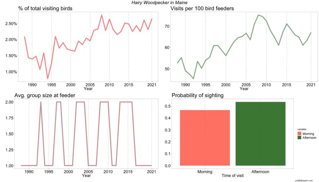   The number of Hairy Woodpeckers visiting bird feeders in Maine backyards from 1988 to 2020. 