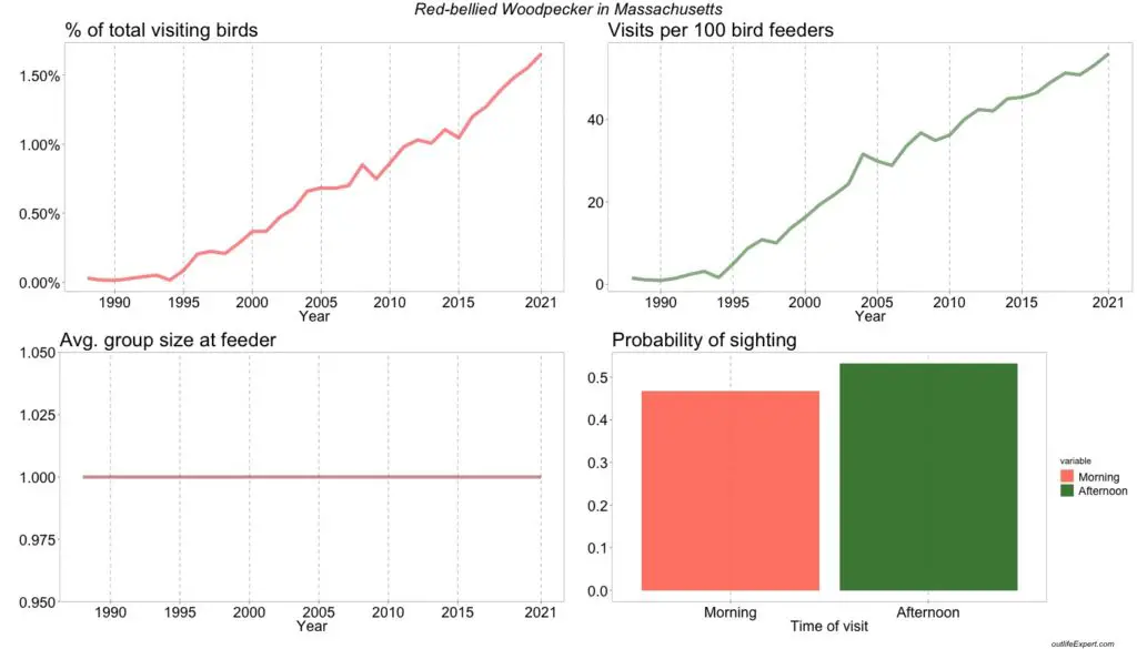 The figure shows the development in the number of Red-bellied Woodpeckers visiting bird feeders in Massachusetts backyards from 1988 to 2020.
