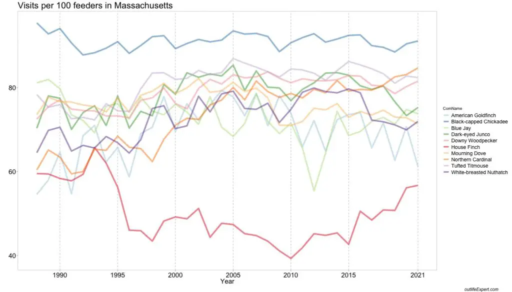 Bird feeder visits for the top 10 species in Massachusetts over time.