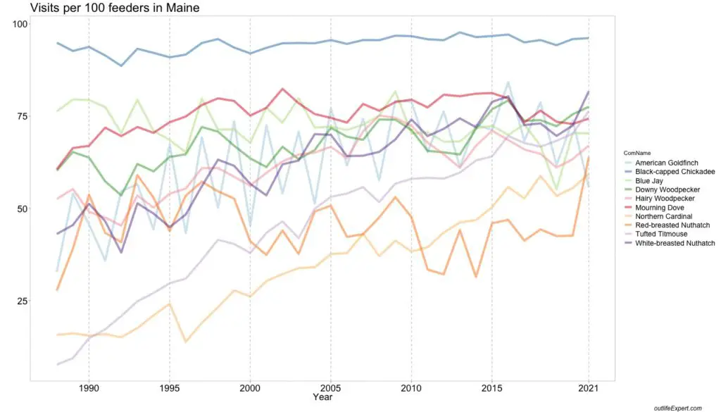 The number of bird feeders visited for the top 10 most popular birds in Maine over time. 