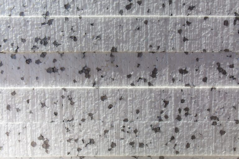 Is Styrofoam Safe for Reptiles (Answered and explained!) Outlife Expert