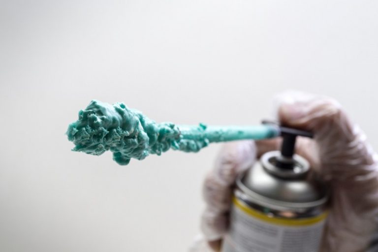 Is Styrofoam Safe for Reptiles (Answered and explained!) Outlife Expert