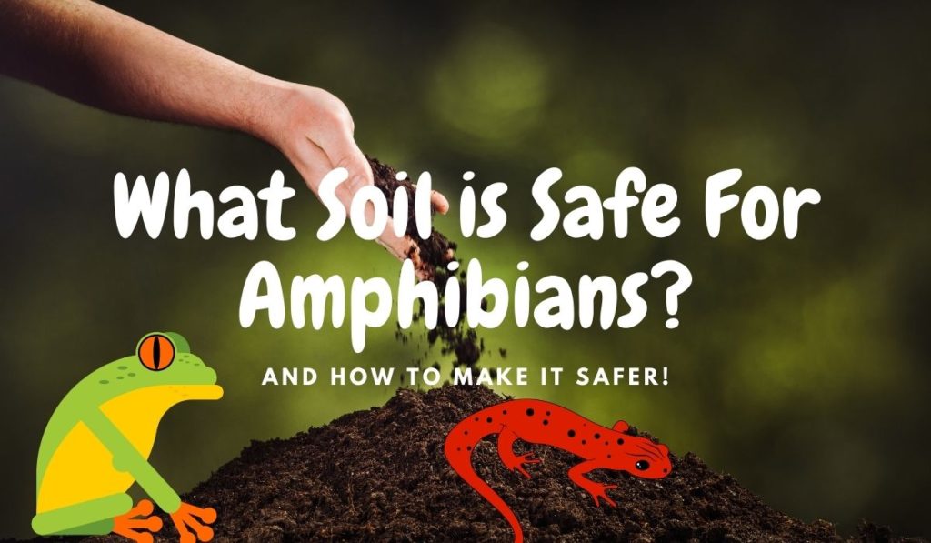 Is Potting Soil Safe for Reptiles and Amphibians? or not