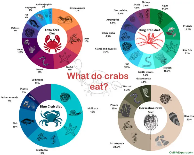 The diet of four common crab species.