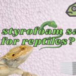 Is Styrofoam Safe for Reptiles (Answered and explained!)
