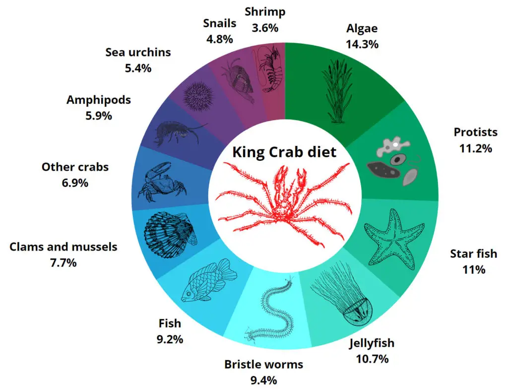 King Crab diet pie chart