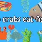 Do Crabs Eat Fish? (Answered!)