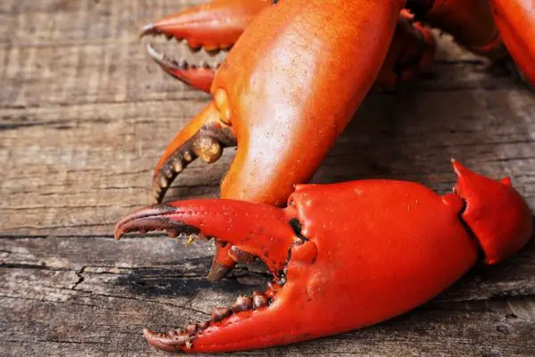Red crab claws