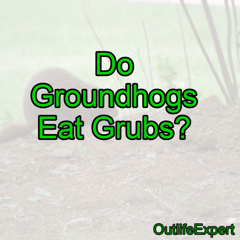 Do Groundhogs Eat Grubs? (Know The Facts!)