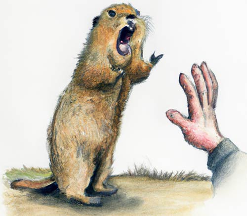 Hand Keeping groundhog away
