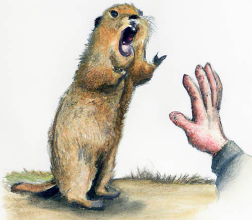 Hand Keeping gopher away