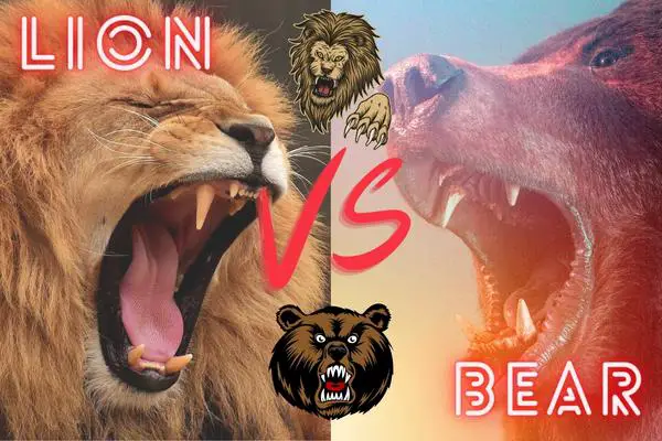 Do lions eat bears?
