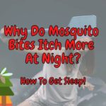 Why Do Mosquito Bites Itch More At Night? (What To Do!)
