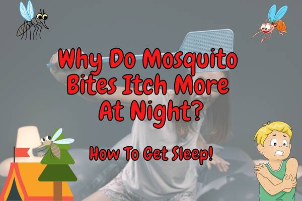 Why Do Mosquito Bites Itch More At Night? (What To Do!)