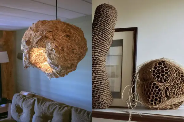 Examples of how a hornets nest is used in home decor.