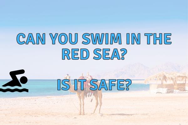 Can You Swim In The Red Sea? (Yes, But Know The Risks!)