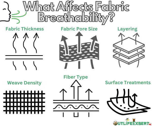 Infographic showing the factors that <a href=