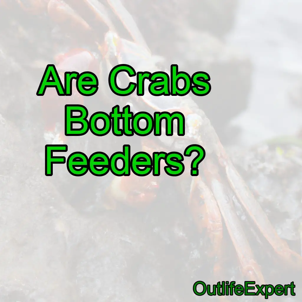 Are Crabs Bottom Feeders?