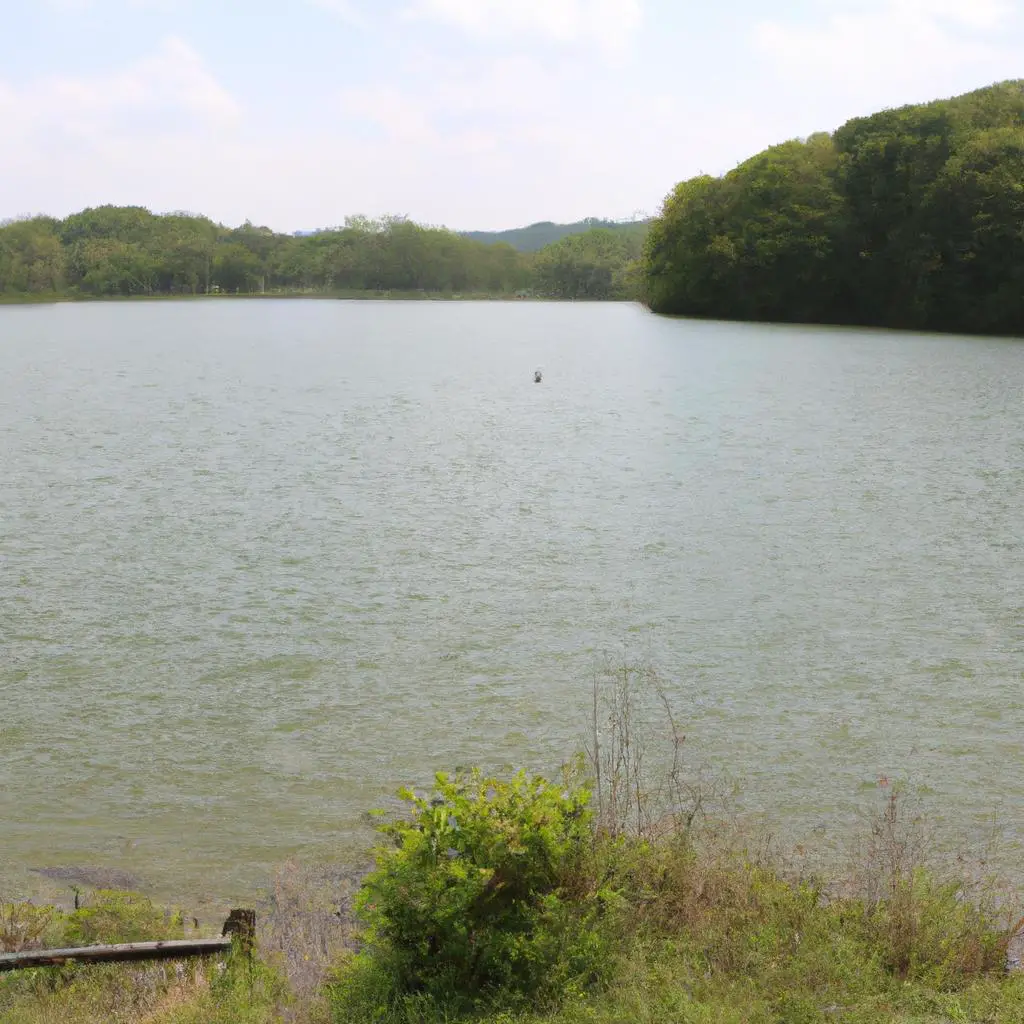 Can You Swim In Nettle Lake Ohio?