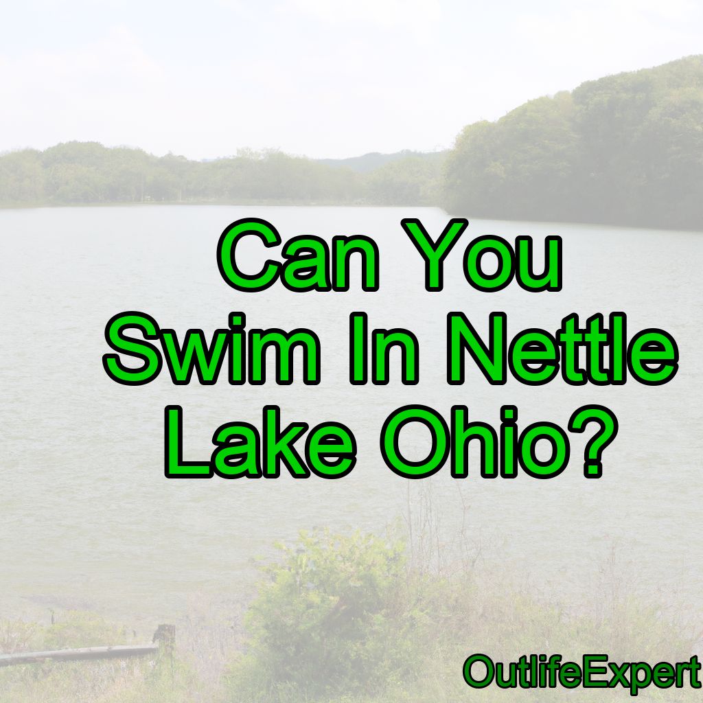 Can You Swim In Nettle Lake Ohio?