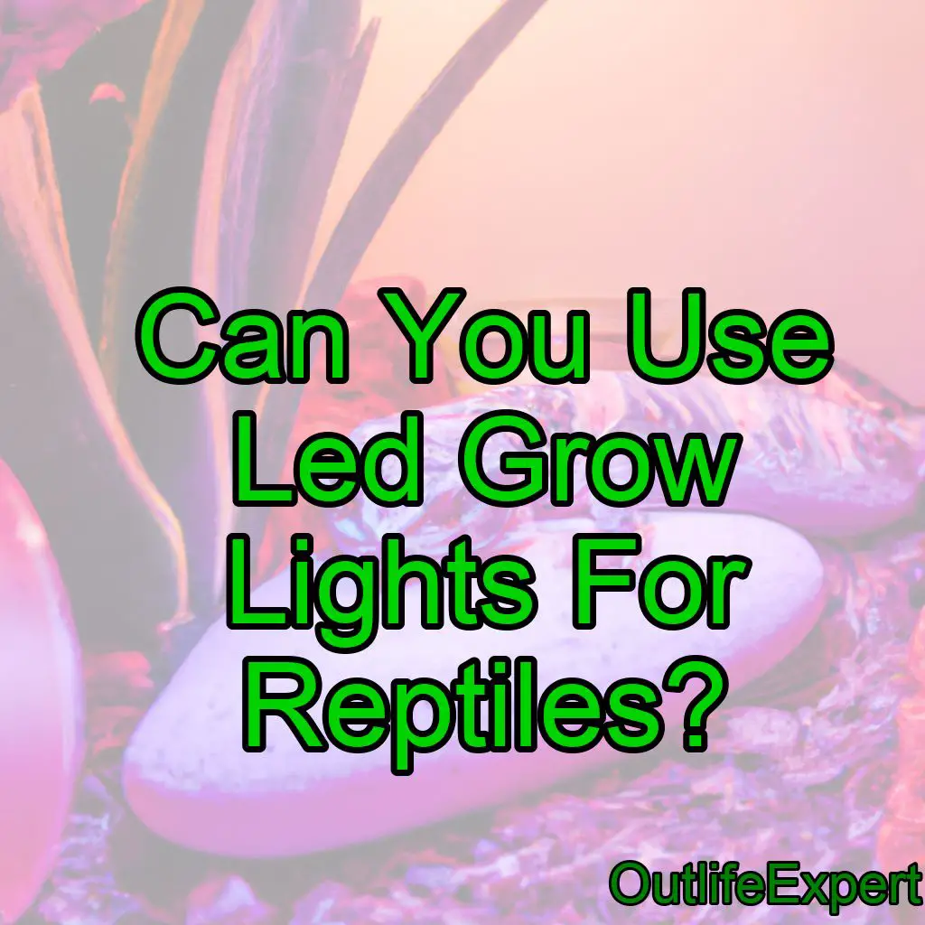Can You Use Led Grow Lights For Reptiles? (Yes, but…)