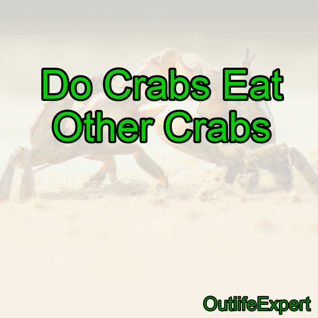 Do Crabs Eat Other Crabs?