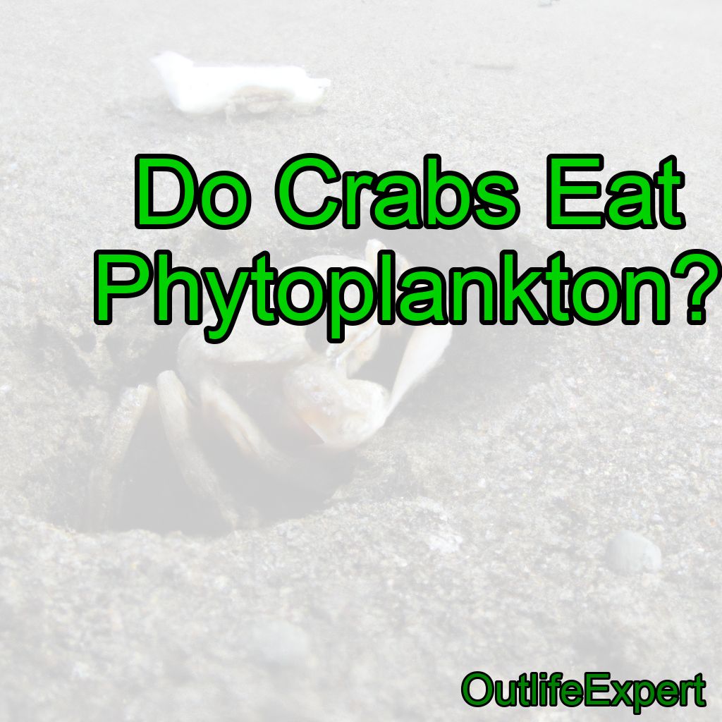 Do Crabs Eat Phytoplankton?