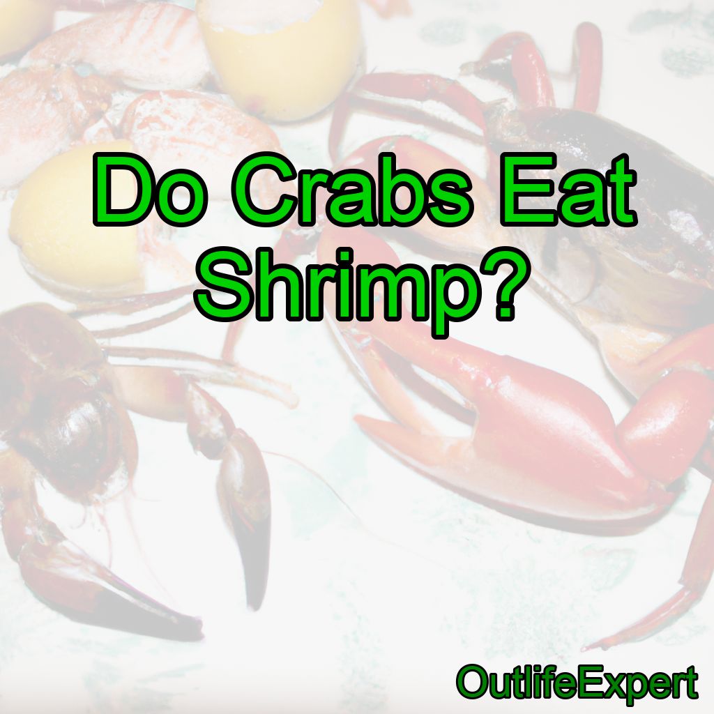 Do Crabs Eat Shrimp?
