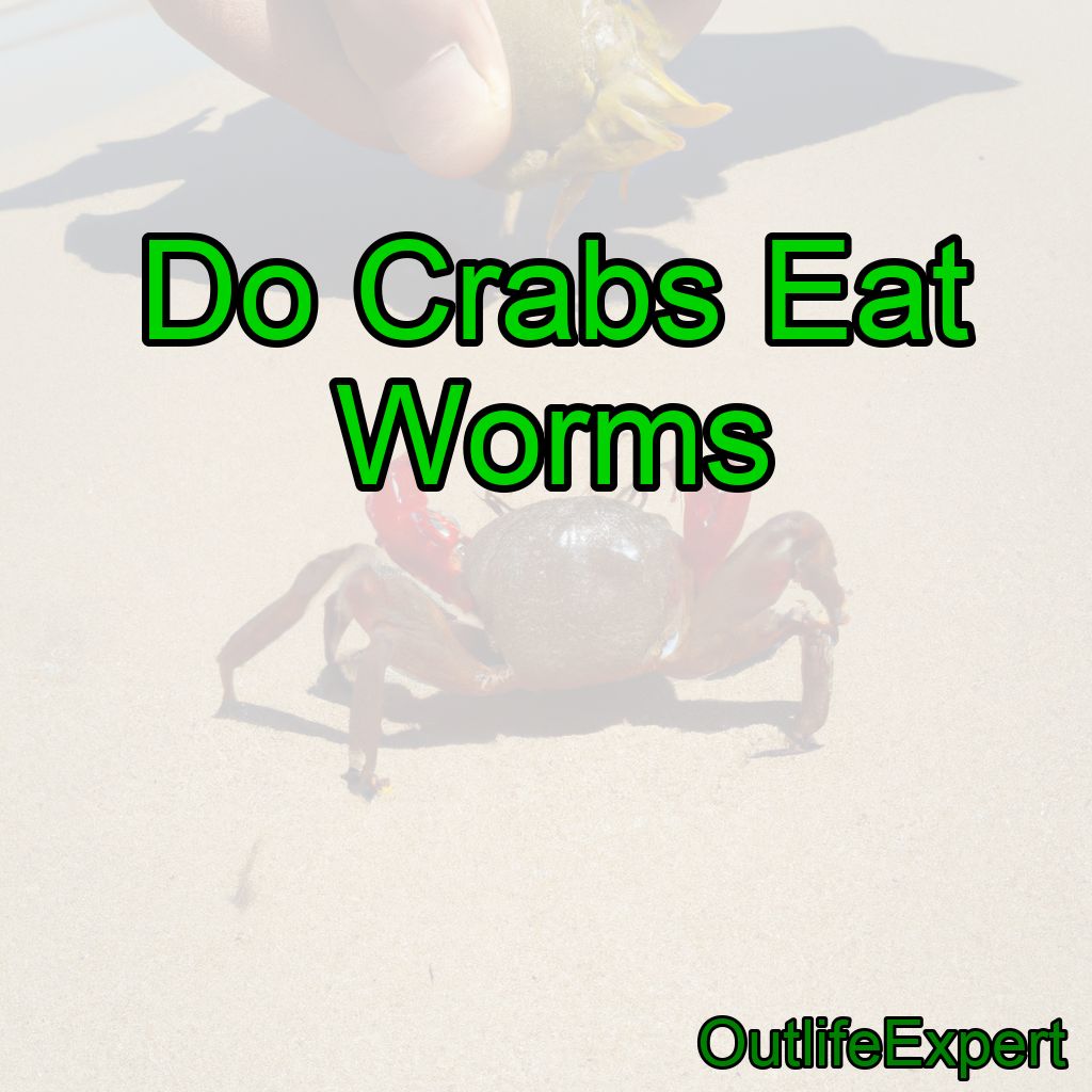 Do Crabs Eat Worms?