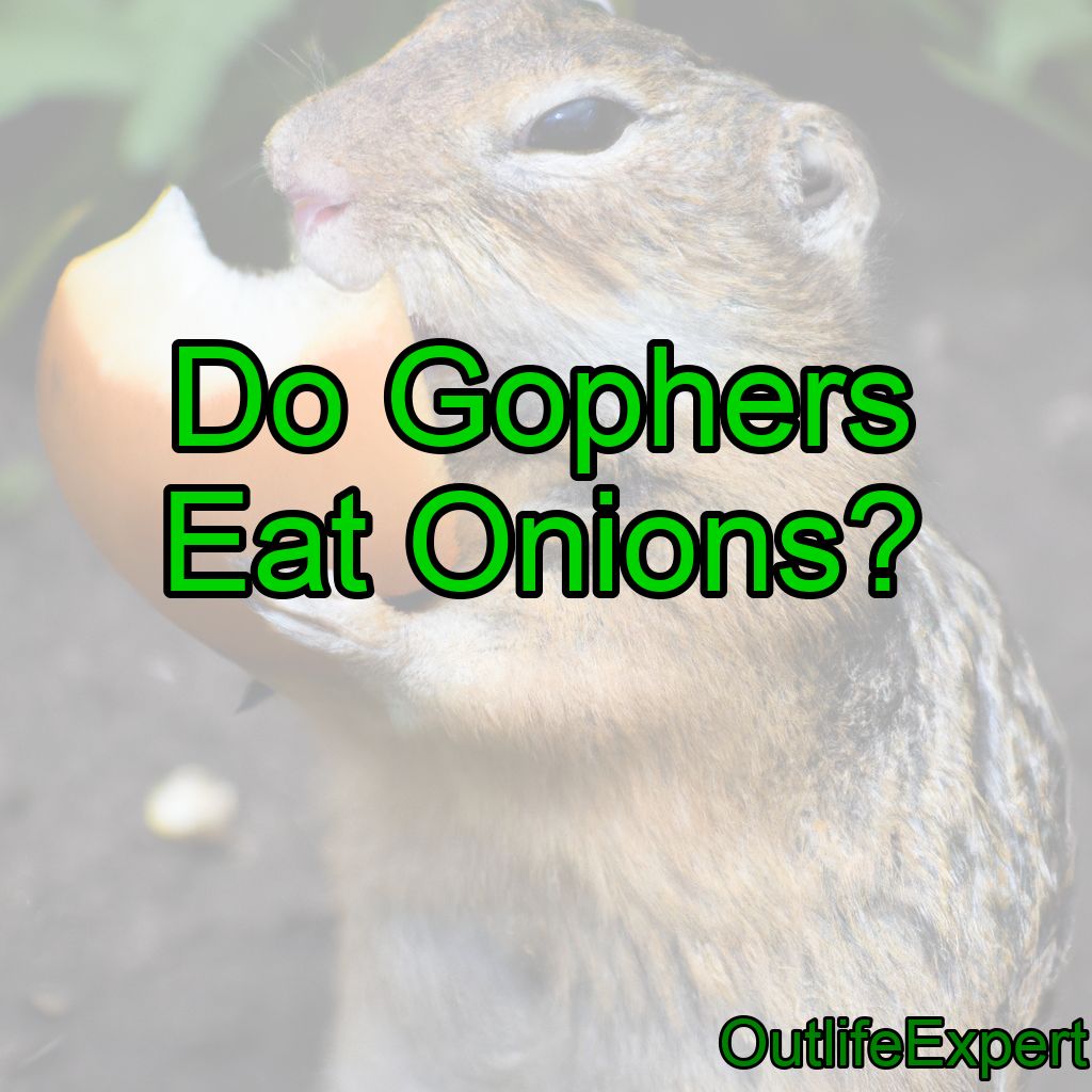 Do Gophers Eat Onions? (What to do!)