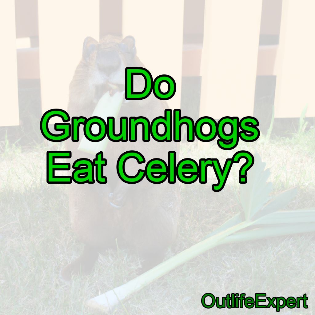 Do Groundhogs Eat Celery?