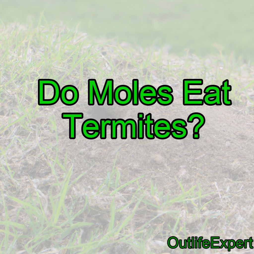 Do Moles Eat Termites? (Answered!)