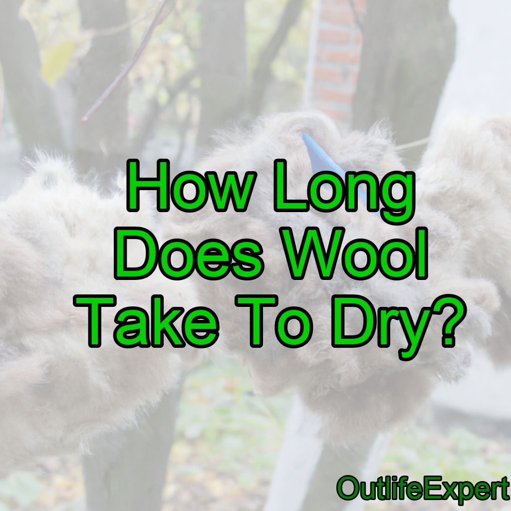 How Long Does Wool Take To Dry? (It Depends…)