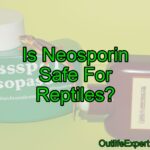 Is Neosporin Safe For Reptiles? (When to use it?)