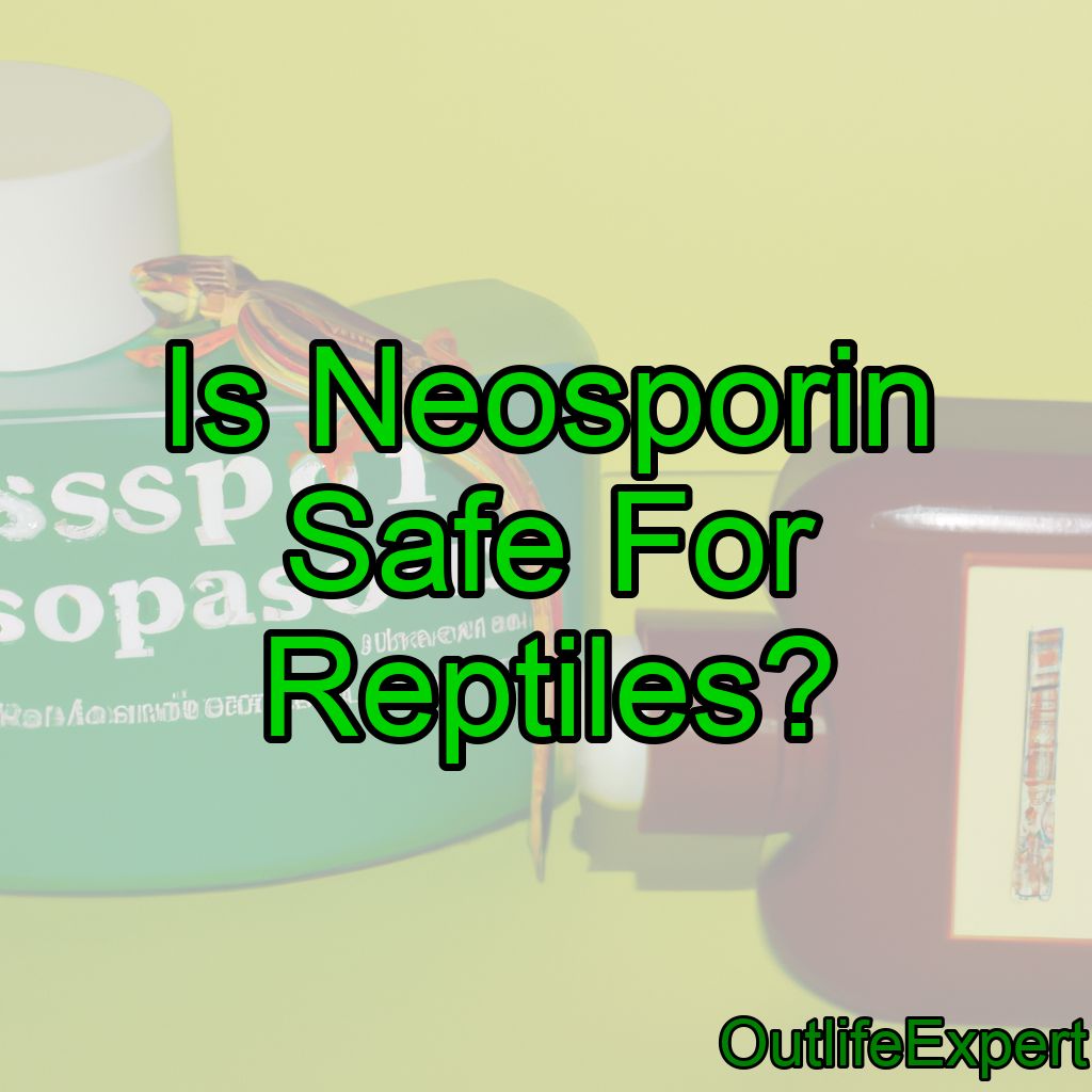 Is Neosporin Safe For Reptiles? (When to use it?)
