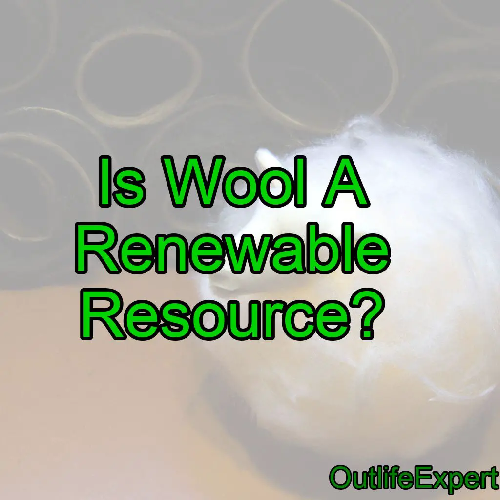 Is Wool A Renewable Resource? (Why/Why Not?)