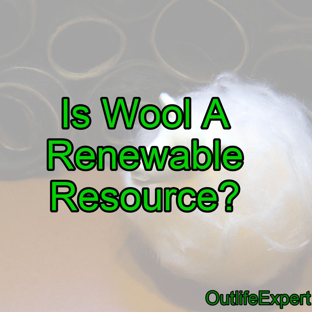 Is Wool A Renewable Resource? (Why/Why Not?)