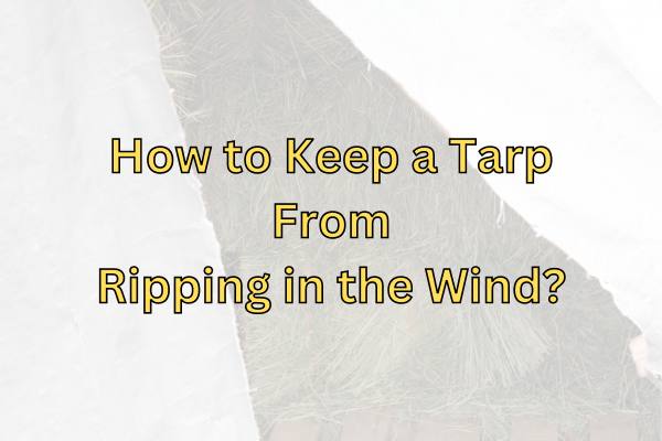 How To Keep A Tarp From Ripping In The Wind?