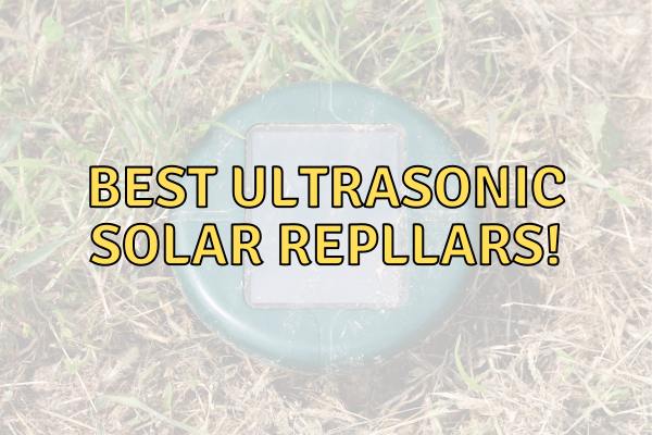 5 Best Solar Powered Ultrasonic Repellers for Pest Control in 2024