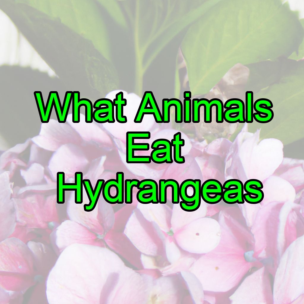 What Animals Eat Hydrangeas?