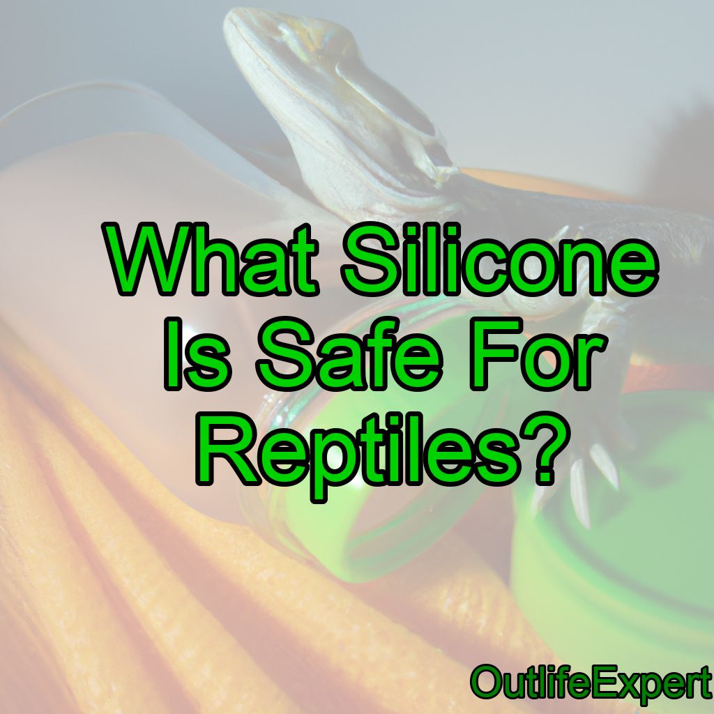 What Silicone Is Safe For Reptiles? (How to use it safely!)