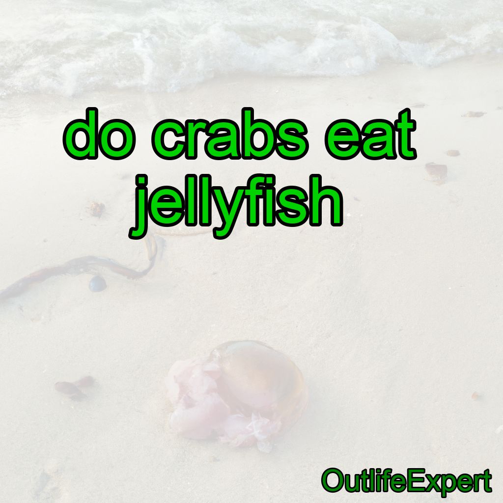 Do Crabs Eat Jellyfish?