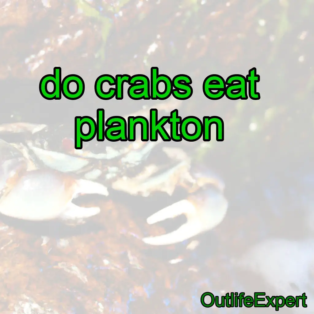 Do Crabs Eat Plankton?