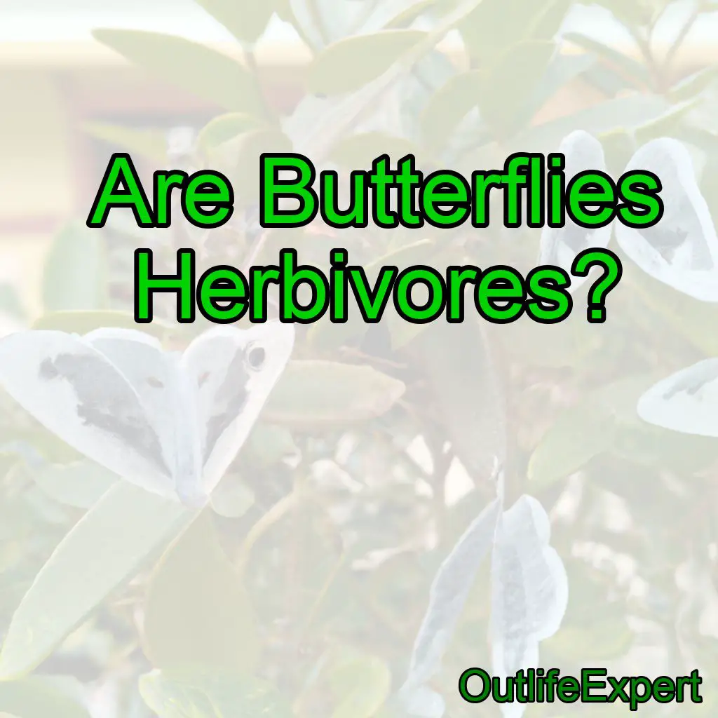 Are Butterflies Herbivores?