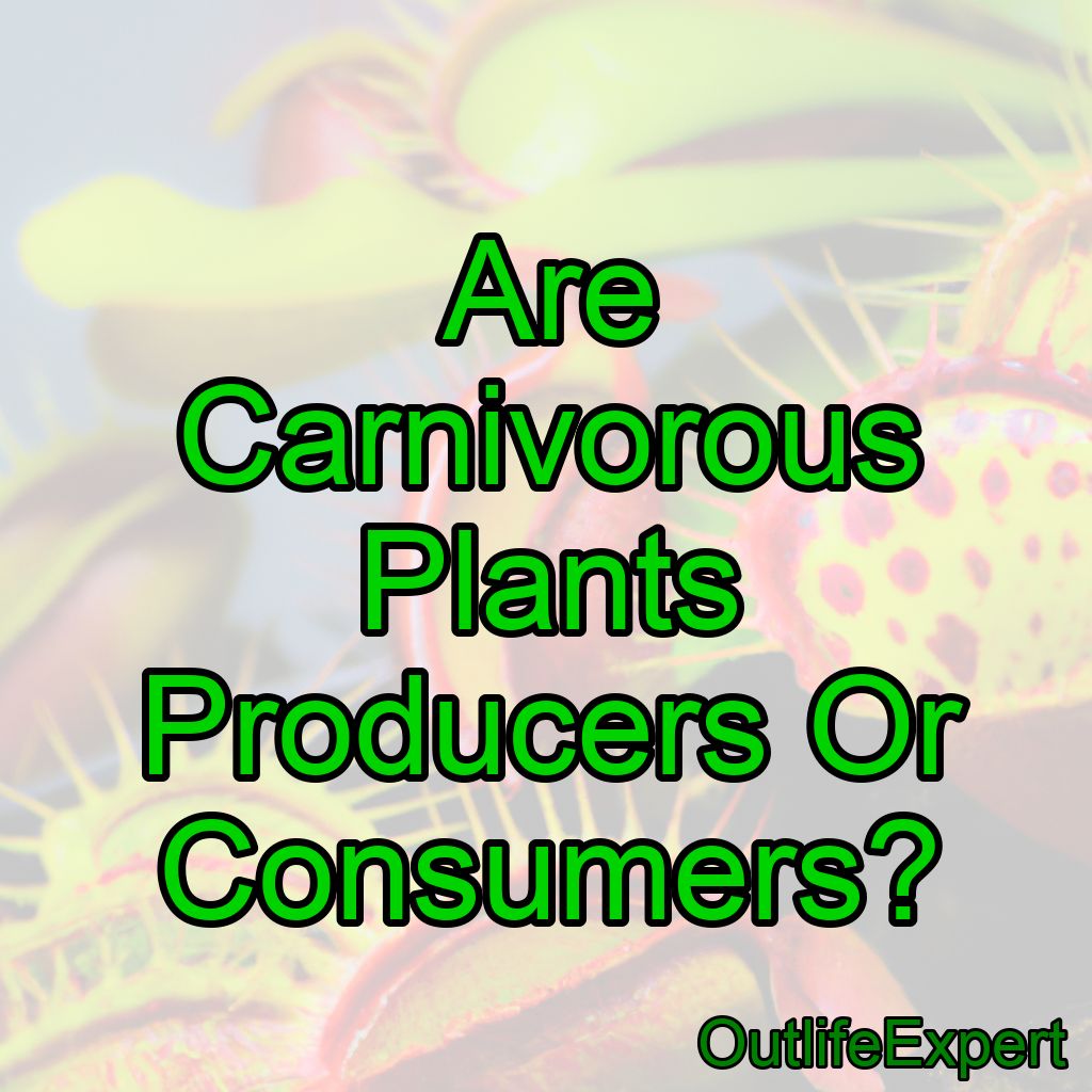 Are Carnivorous Plants Producers Or Consumers?