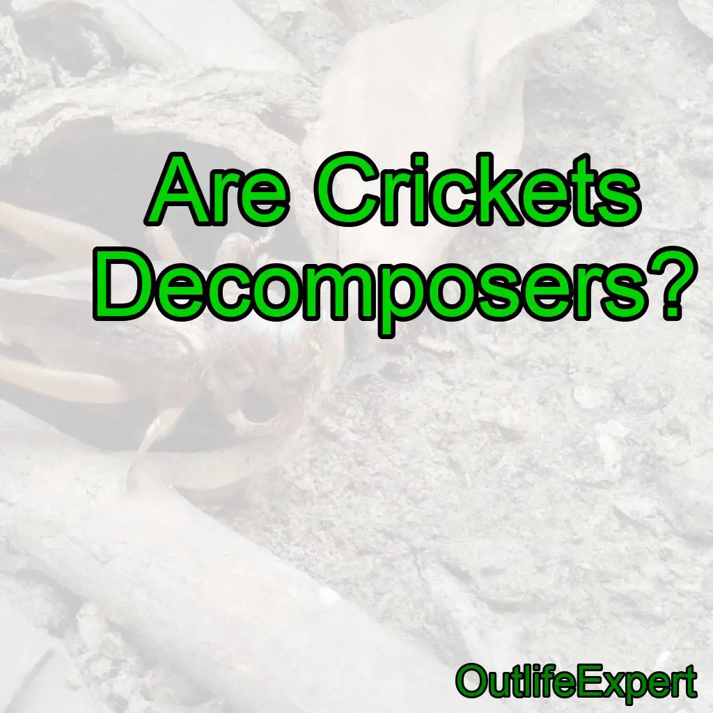 Are Crickets Decomposers?