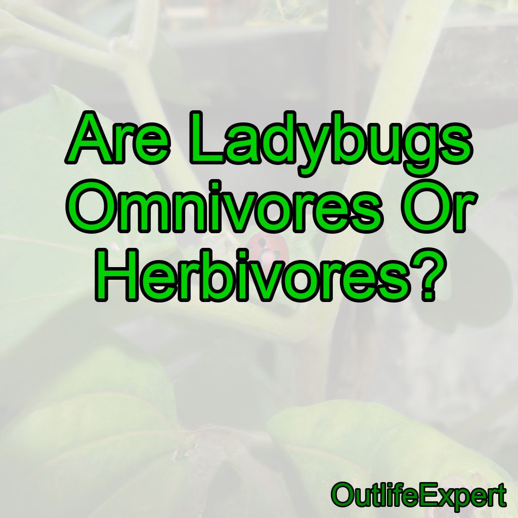 Are Ladybugs Omnivores Or Herbivores?