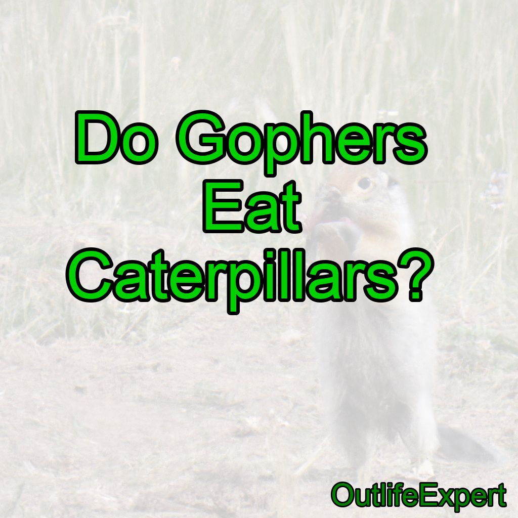 Do Gophers Eat Caterpillars?